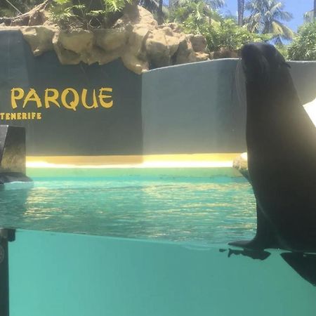 Grande Appartamento Tenerife ロス・アブリゴス エクステリア 写真